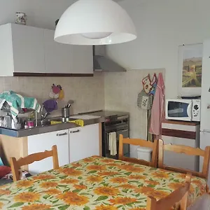 Vite Misano Adriatico